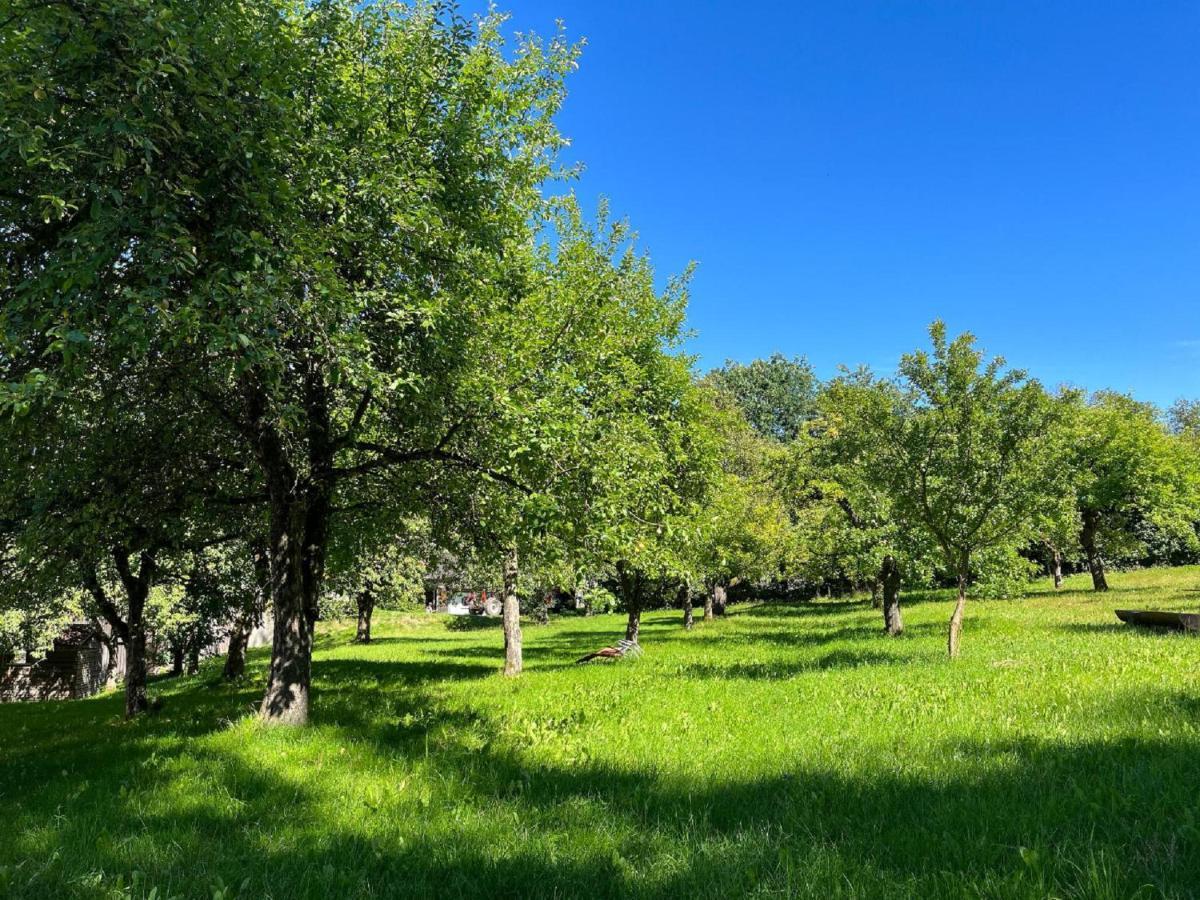 Zandt Landgasthof Blasini - Pfahlhof מראה חיצוני תמונה